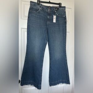Express Dark Blue Jeans